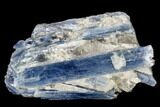 Vibrant Blue Kyanite Crystals in Quartz - Brazil #113466-1